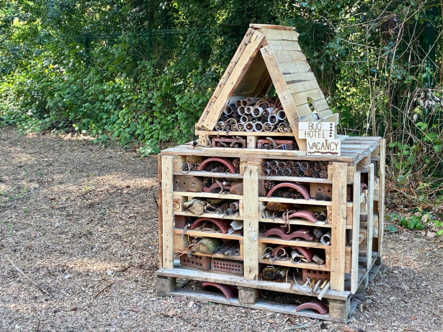 BugHotel